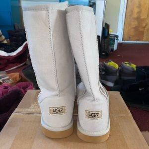 New Light Blue Size 9 Tall Uggs